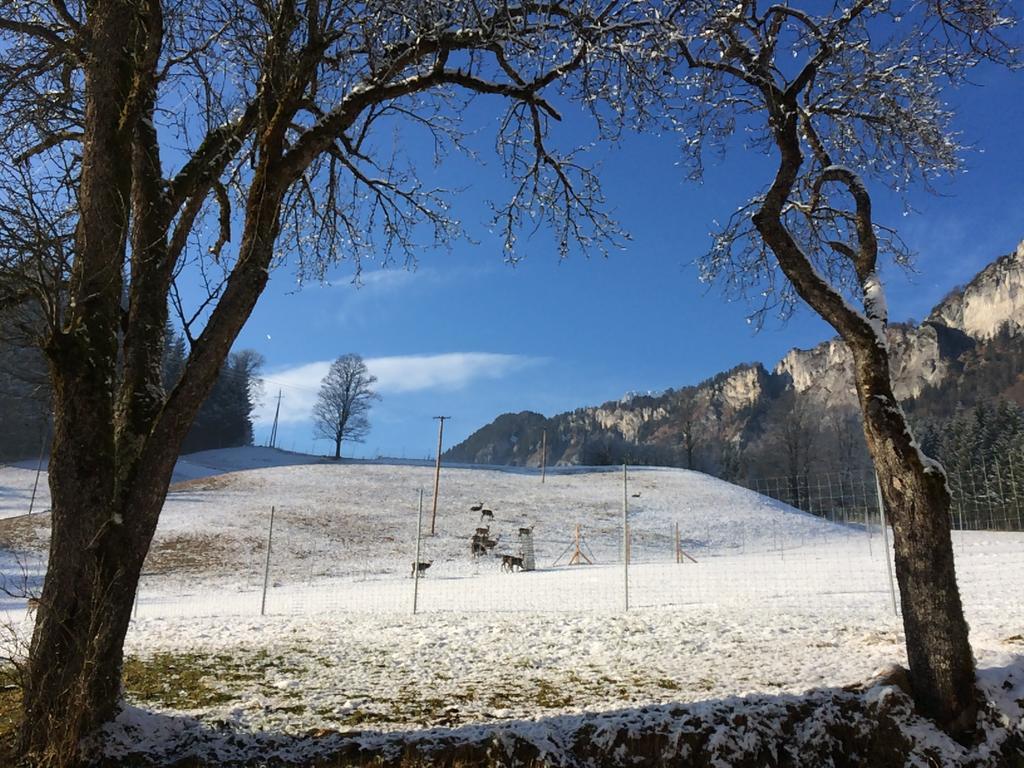 Berghof Haselsberger Otel Sankt Johann in Tirol Dış mekan fotoğraf