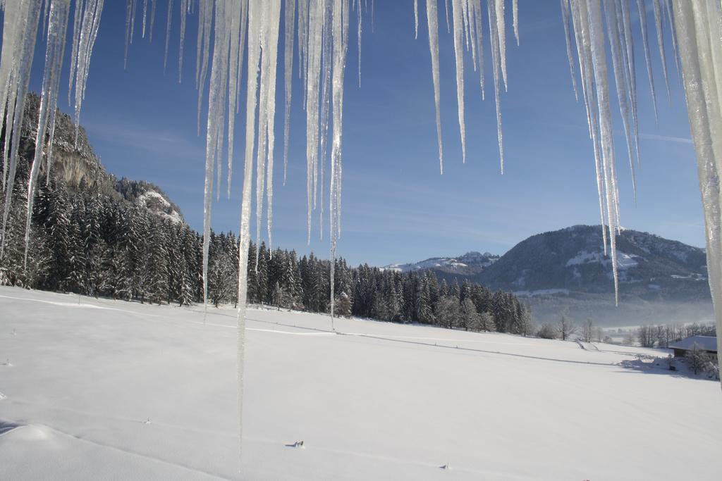 Berghof Haselsberger Otel Sankt Johann in Tirol Dış mekan fotoğraf