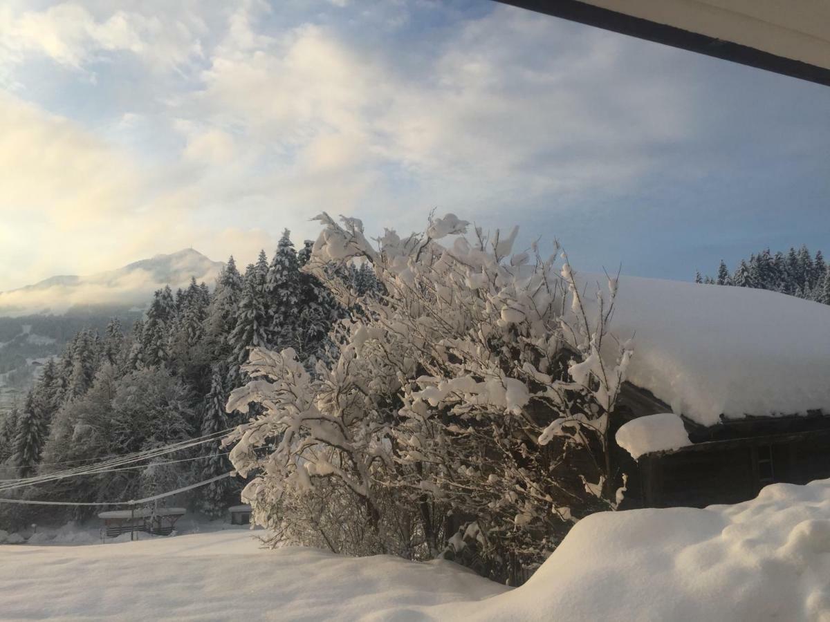 Berghof Haselsberger Otel Sankt Johann in Tirol Dış mekan fotoğraf